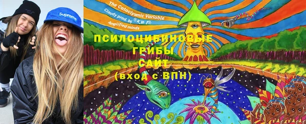 хмурый Алексин